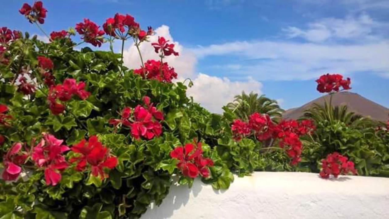 Cozy House In El Golfo + Terrace Villa Kültér fotó